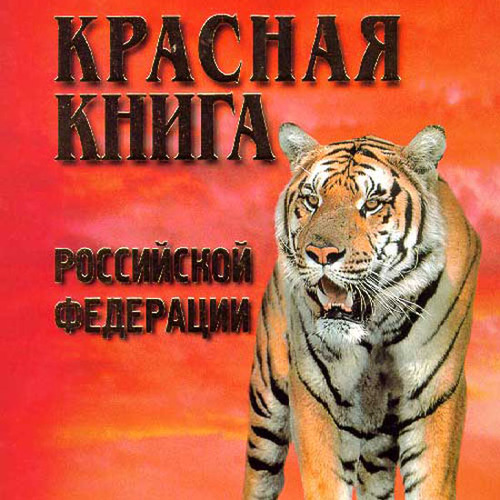 Красная Книга Купить В Спб